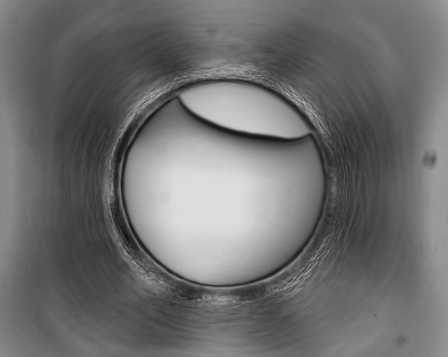 X0000101140582200806270738