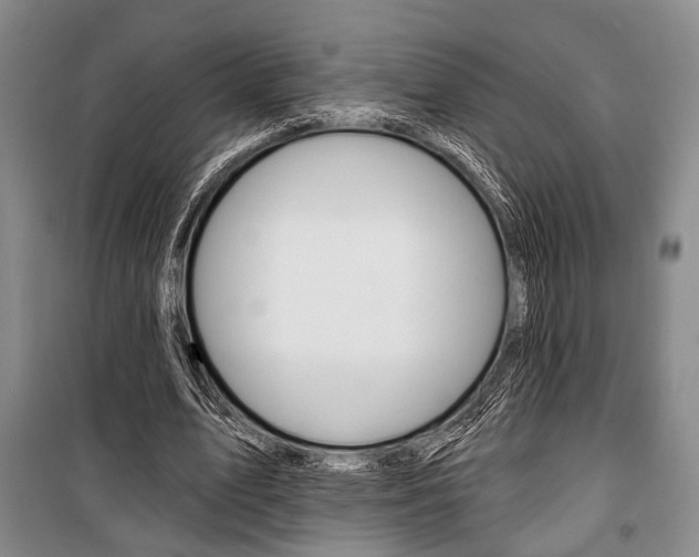 X0000101140583200806270738