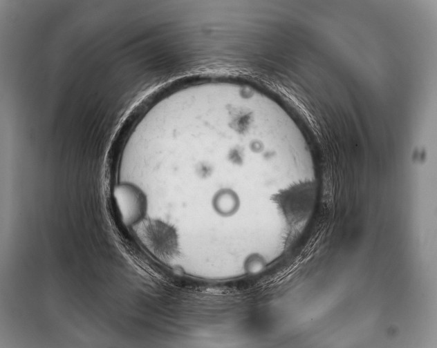 X0000101140584200806270738