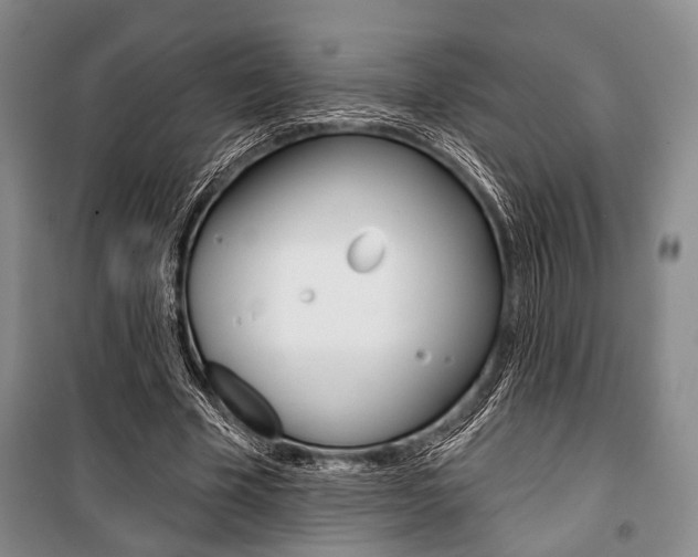 X0000101140585200806270738