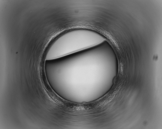 X0000101140588200806270738