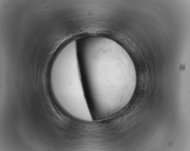 X0000101140592200806270738