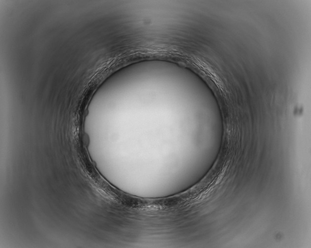 X0000101140593200806270738