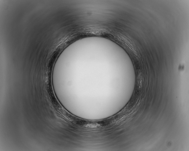 X0000101140595200806270738