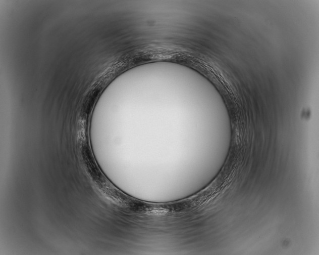 X0000101140598200806270738