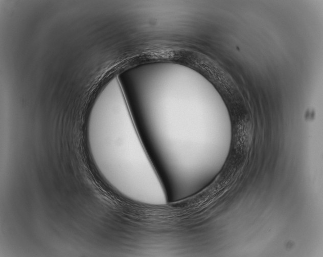 X0000101140600200806270738