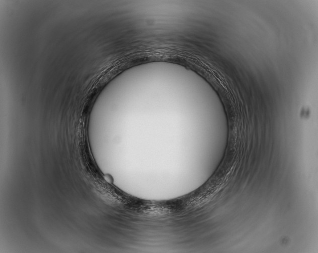 X0000101140601200806270738