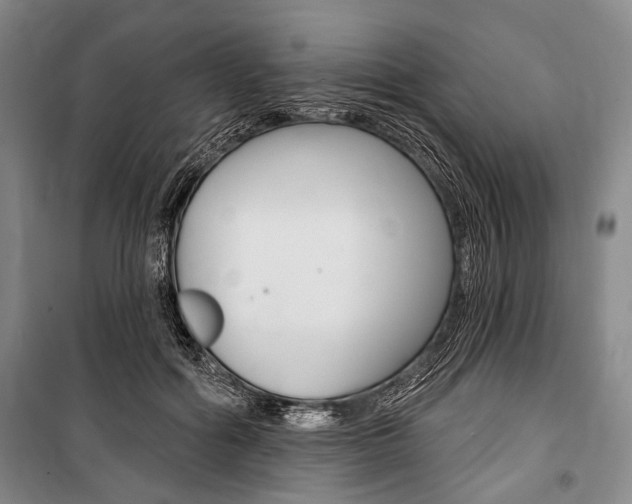 X0000101140602200806270738
