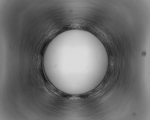 X0000101140603200806270738