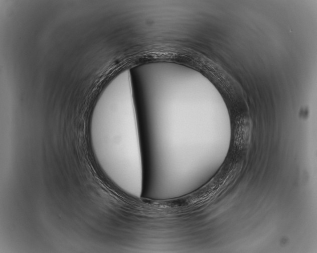 X0000101140604200806270738