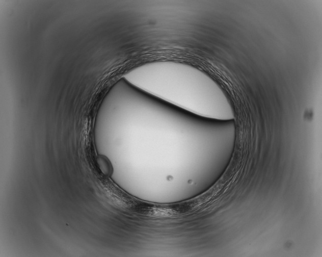 X0000101140605200806270738