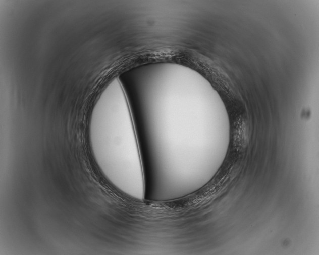 X0000101140608200806270738