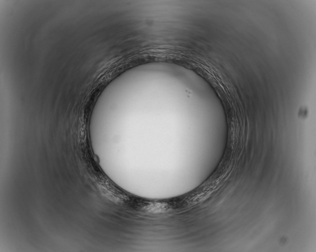 X0000101140609200806270738