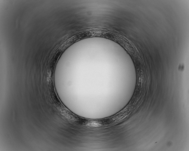X0000101140610200806270738