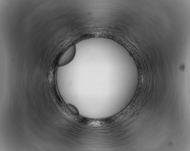 X0000101140611200806270738