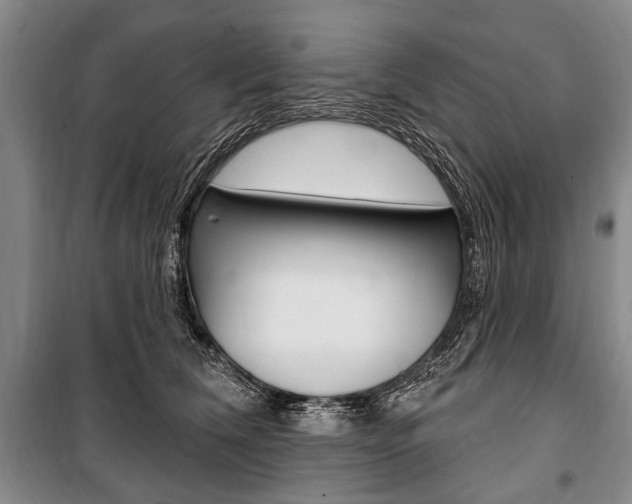 X0000101140612200806270738