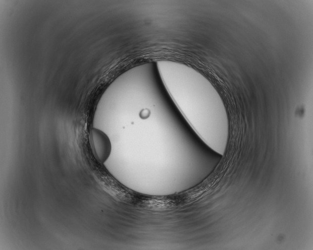X0000101140615200806270738