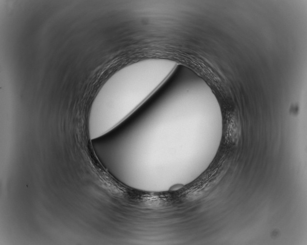 X0000101140616200806270738