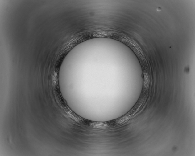 X0000101140621200806270737