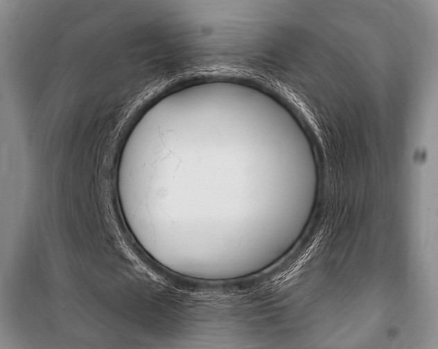 X0000101140625200806270737