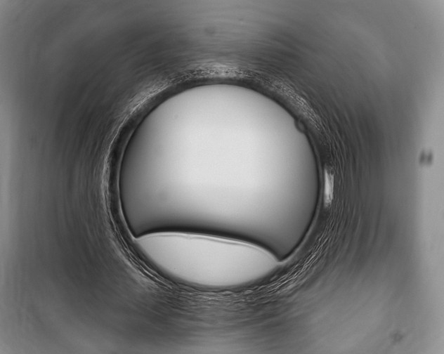 X0000101140627200806270737