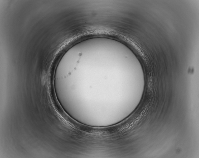 X0000101140629200806270737