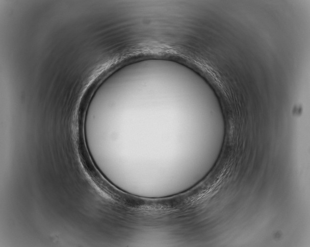 X0000101140630200806270737