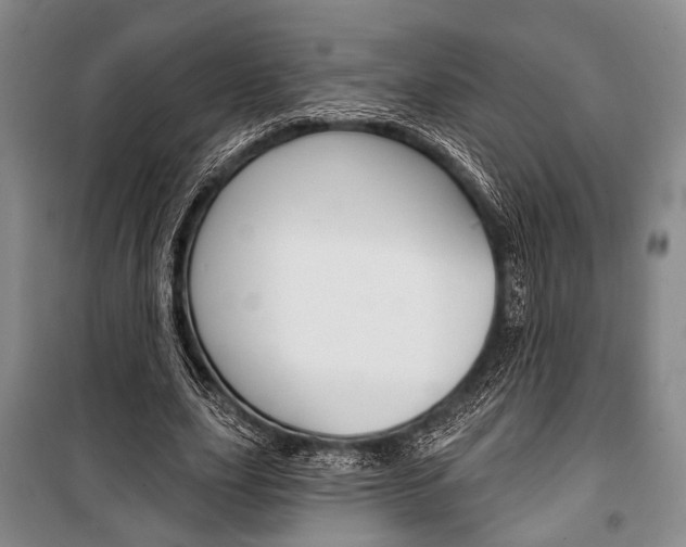 X0000101140631200806270737