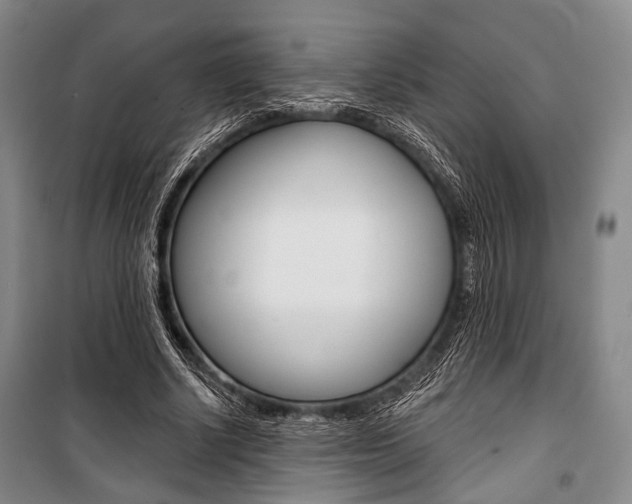 X0000101140634200806270737