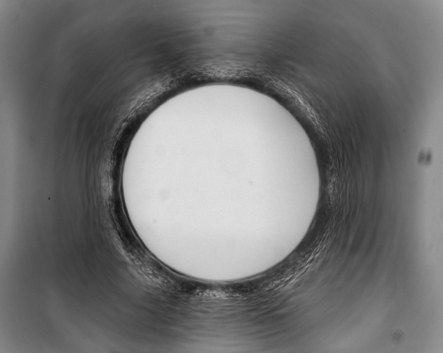 X0000101140635200806270737