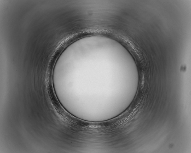 X0000101140636200806270737