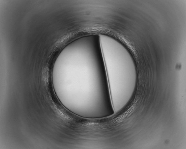 X0000101140637200806270737
