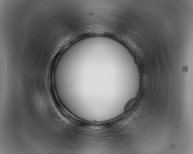 X0000101140638200806270737