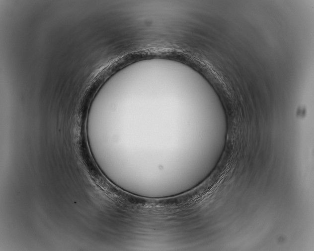 X0000101140640200806270737