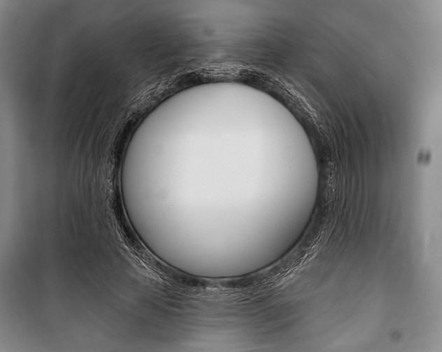 X0000101140641200806270737
