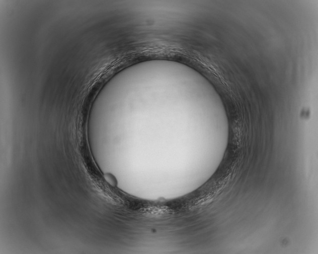 X0000101140642200806270737
