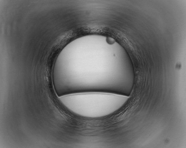 X0000101140643200806270737