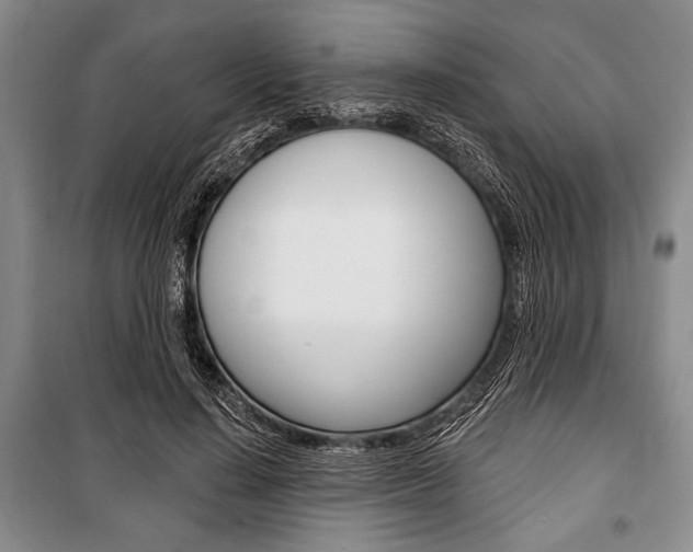 X0000101140644200806270737