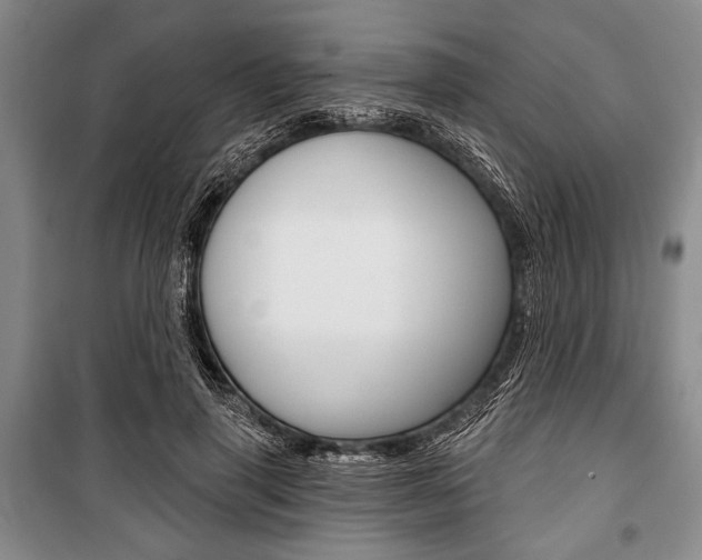 X0000101140645200806270737