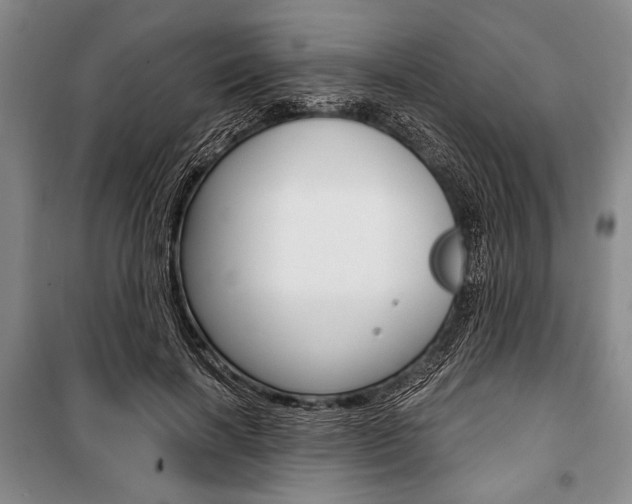 X0000101140646200806270737
