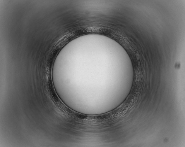 X0000101140648200806270737