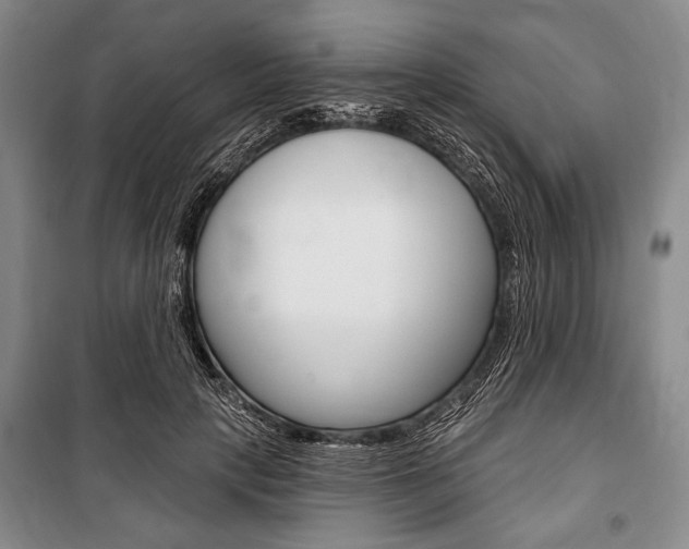 X0000101140649200806270737