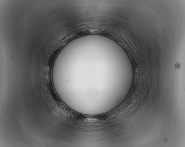 X0000101140650200806270737