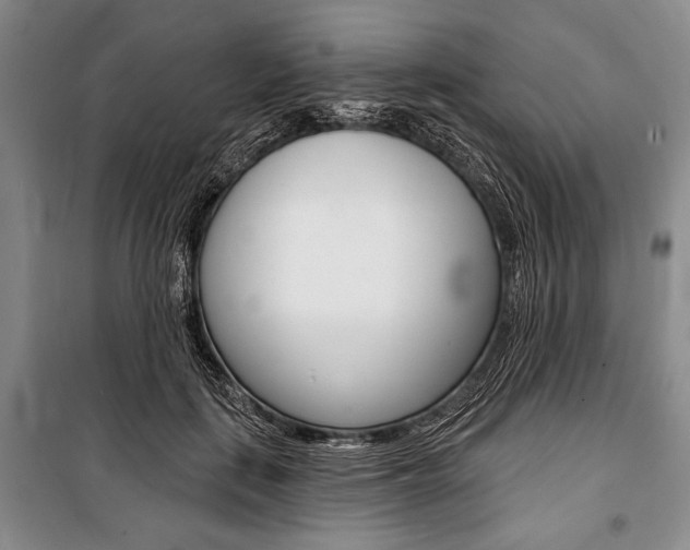 X0000101140651200806270737