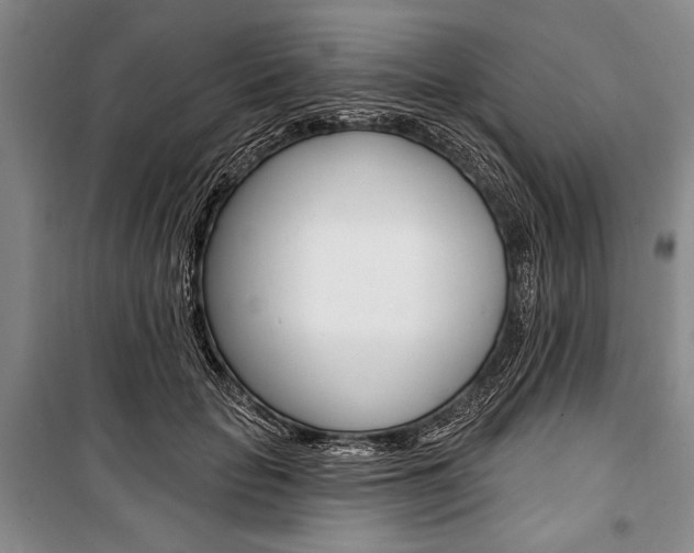 X0000101140653200806270737