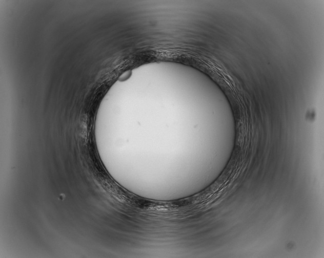 X0000101140655200806270737