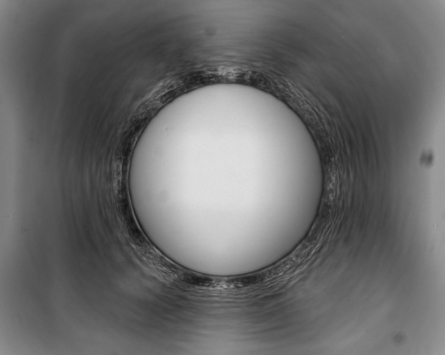X0000101140656200806270737