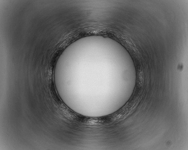 X0000101140657200806270737