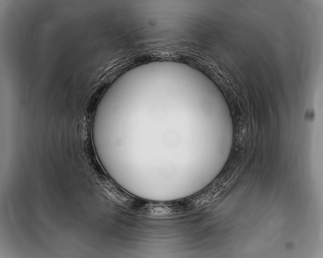 X0000101140658200806270737