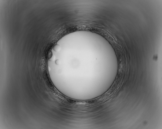 X0000101140659200806270737